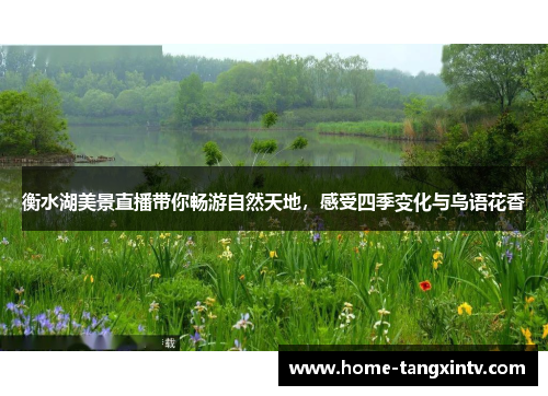 衡水湖美景直播带你畅游自然天地，感受四季变化与鸟语花香